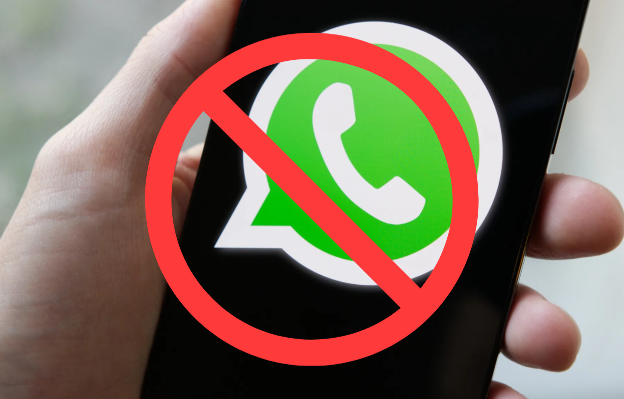 Nuevo Número de Contacto